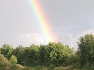 hästar Bästa vän sökes⭐️ - Annons 6