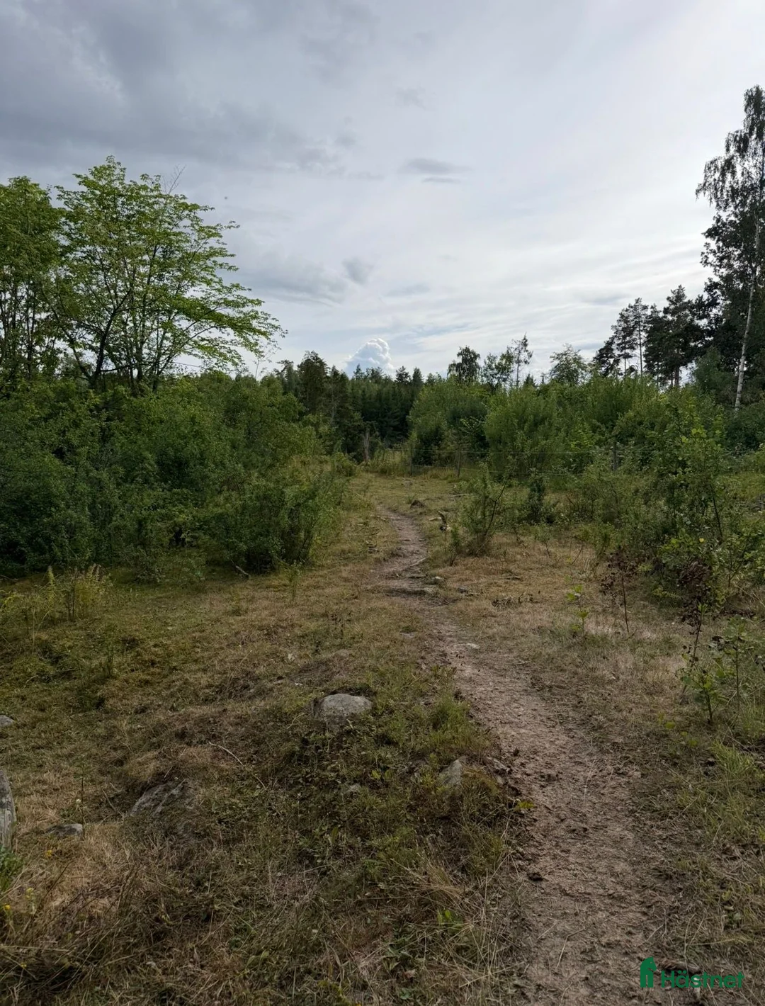  stallplats finnes: Ny lösdrift med tillgång till ridhus  - Annons 2