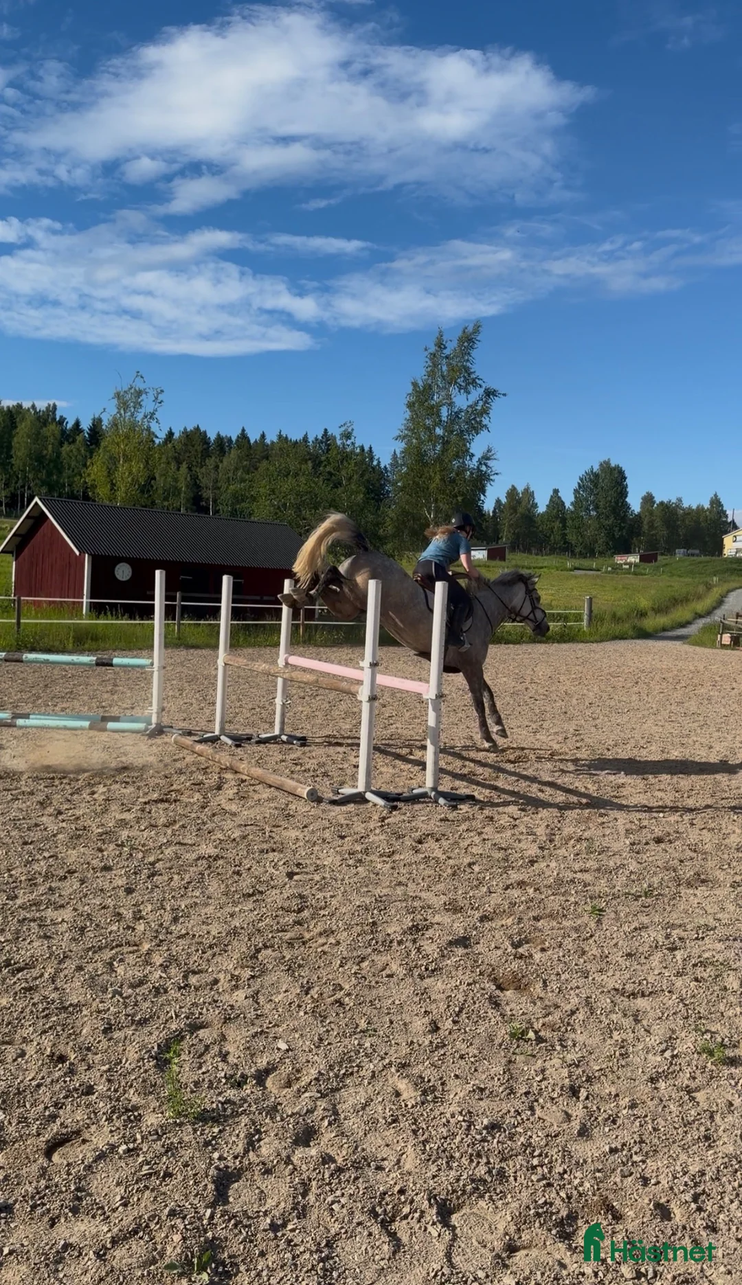 Hoppning hästar till salu: Tävlingsponny  - Annons 1