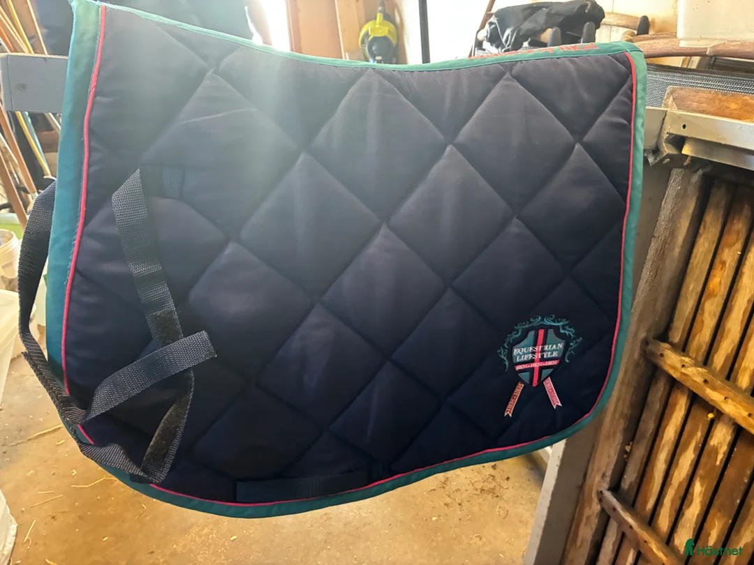 Schabrak & Vojlockar hästutrustning till salu: Schabrak  - Annons 1