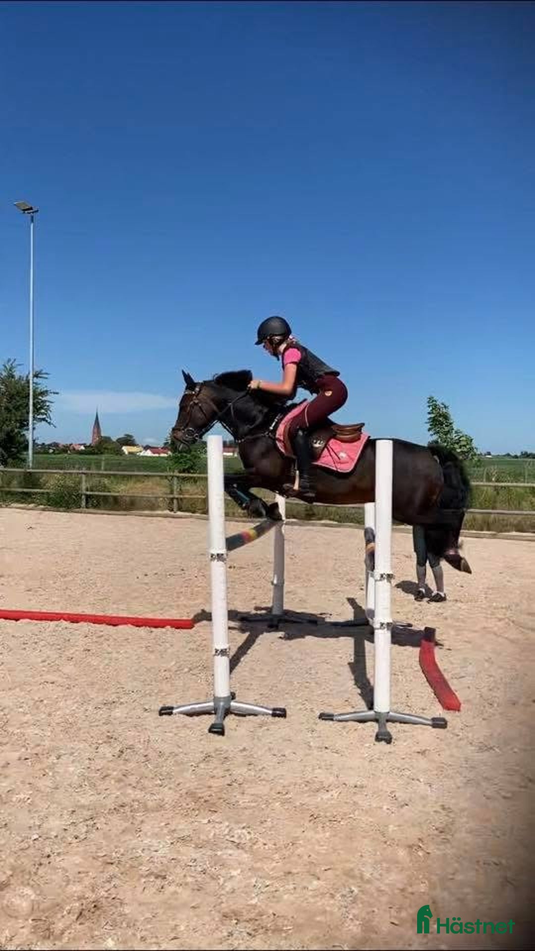 Hoppning hästar till salu: Fantastiskt SM ponny säljes i Sjöbo - Annons 2