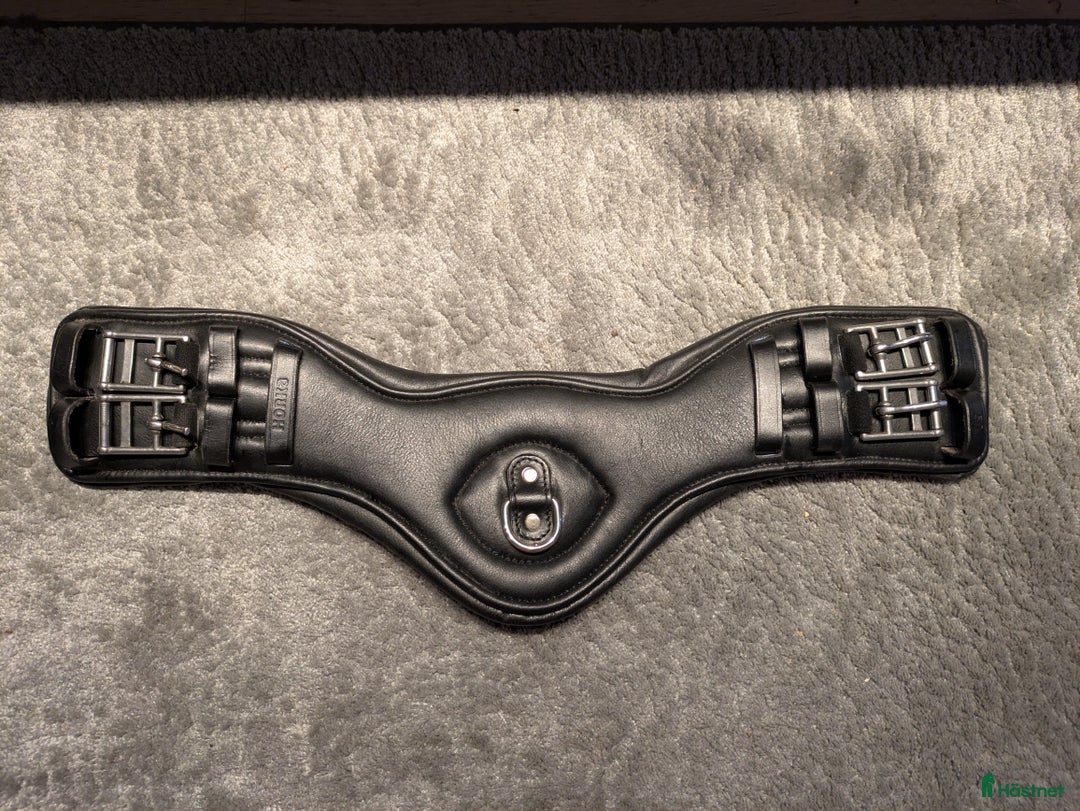 Sadeltillbehör hästutrustning till salu: Horka Anatomisk Dressyrgjord 50 cm  i Huddinge - Annons 1