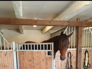 stallplats Stallplats ledig i Vallentuna - Annons 12