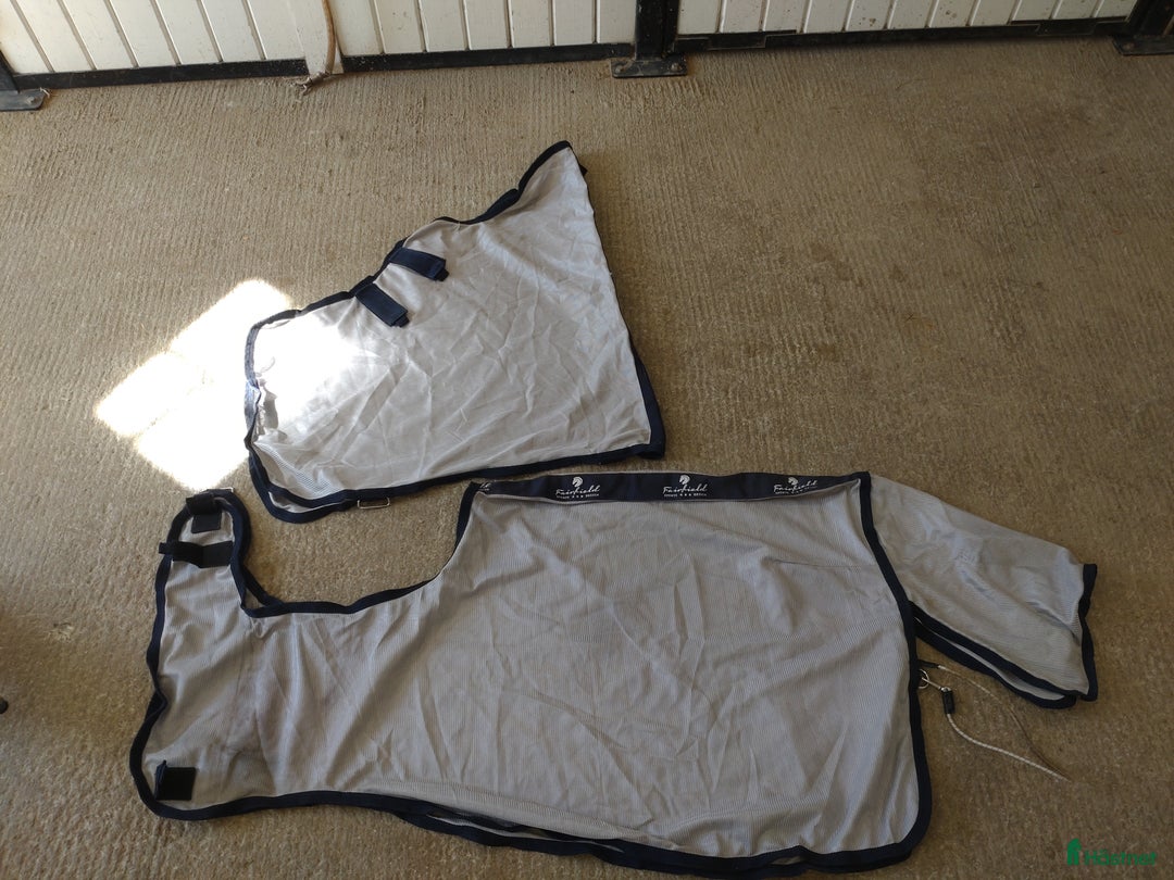 Övrig Hästutrustning hästutrustning till salu: Allt ska bort  i Knivsta - Annons 6