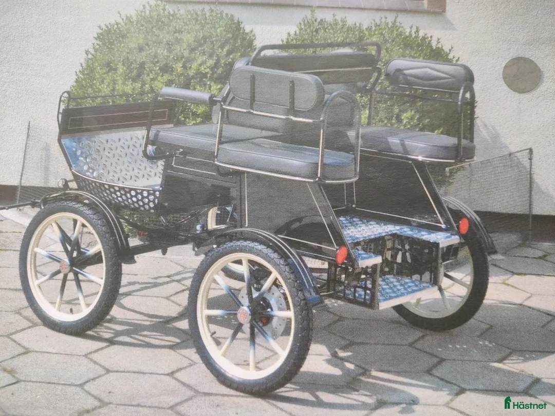 Körvagnar körning till salu: Maratonvagn I nyskick - Annons 3