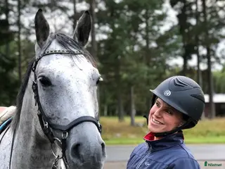 hästar Sökes-Trygg och trevlig häst - Annons 2
