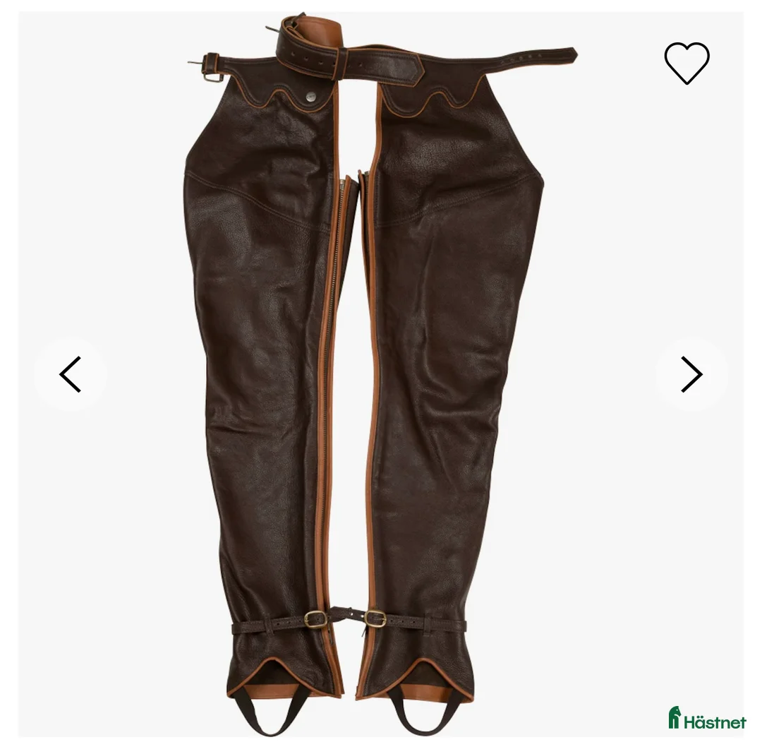 Ridbyxor ryttarutrustning till salu: Chaps från Hööks - Annons 5