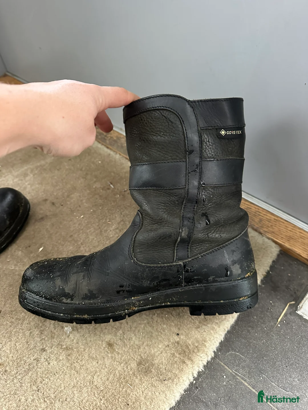 Övrig Ryttarutrustning ryttarutrustning till salu: Dubarry sko i Norrtälje - Annons 2