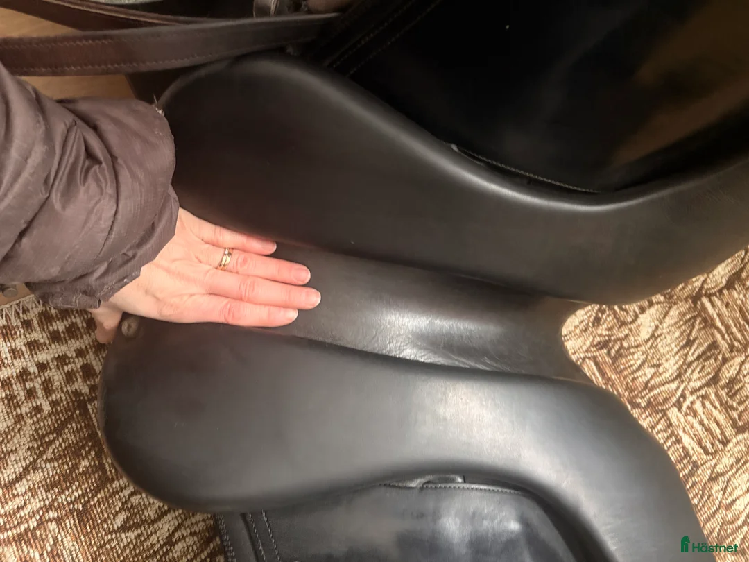 Sadlar hästutrustning till salu: Draupnir fint skick  - Annons 7