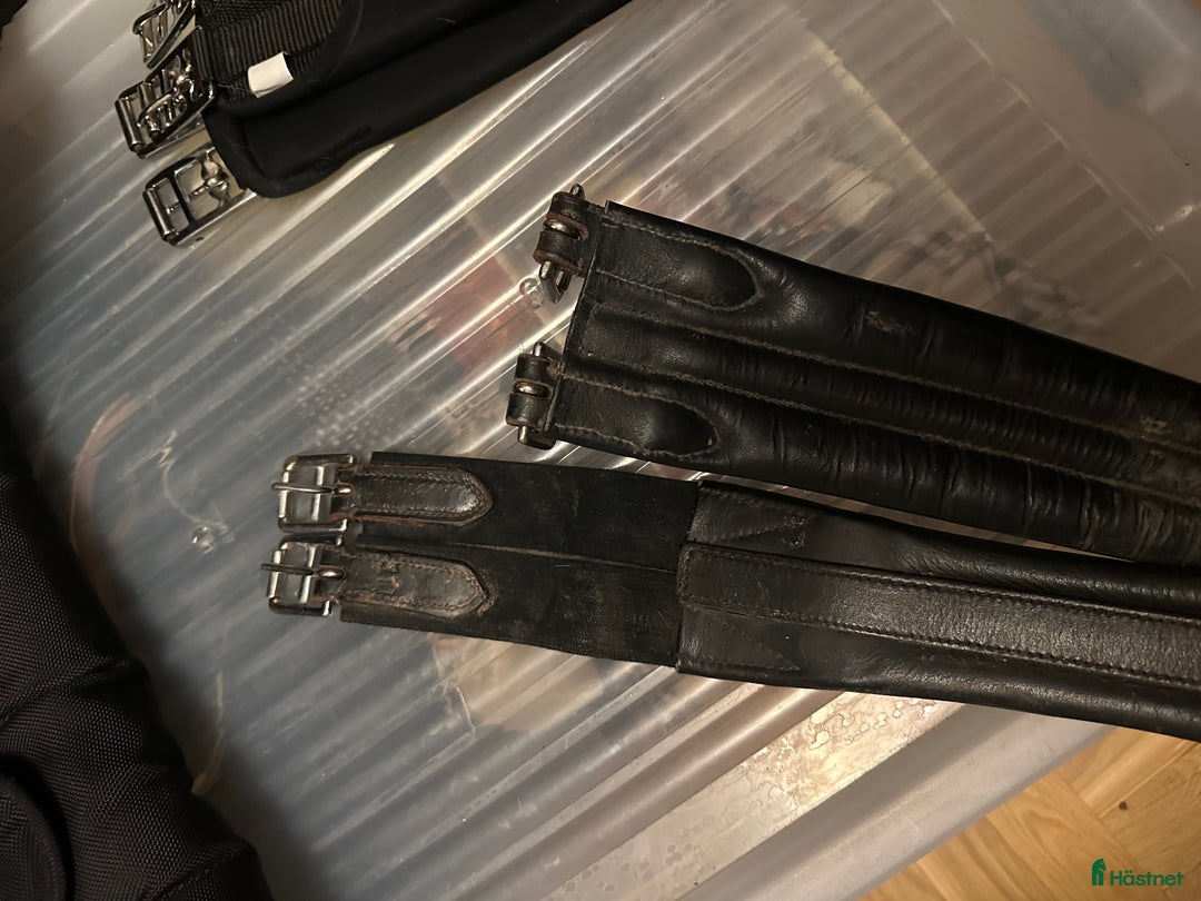 Sadeltillbehör hästutrustning till salu: Svart Lädergjord 110cm med resår i ena änden i Borlänge - Annons 1