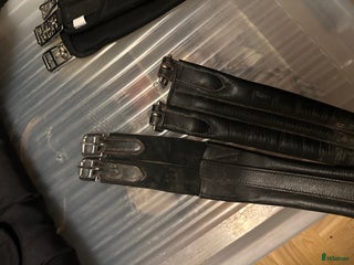 Sadeltillbehör hästutrustning till salu: Svart Lädergjord 110cm med resår i ena änden i Borlänge - Annons 6