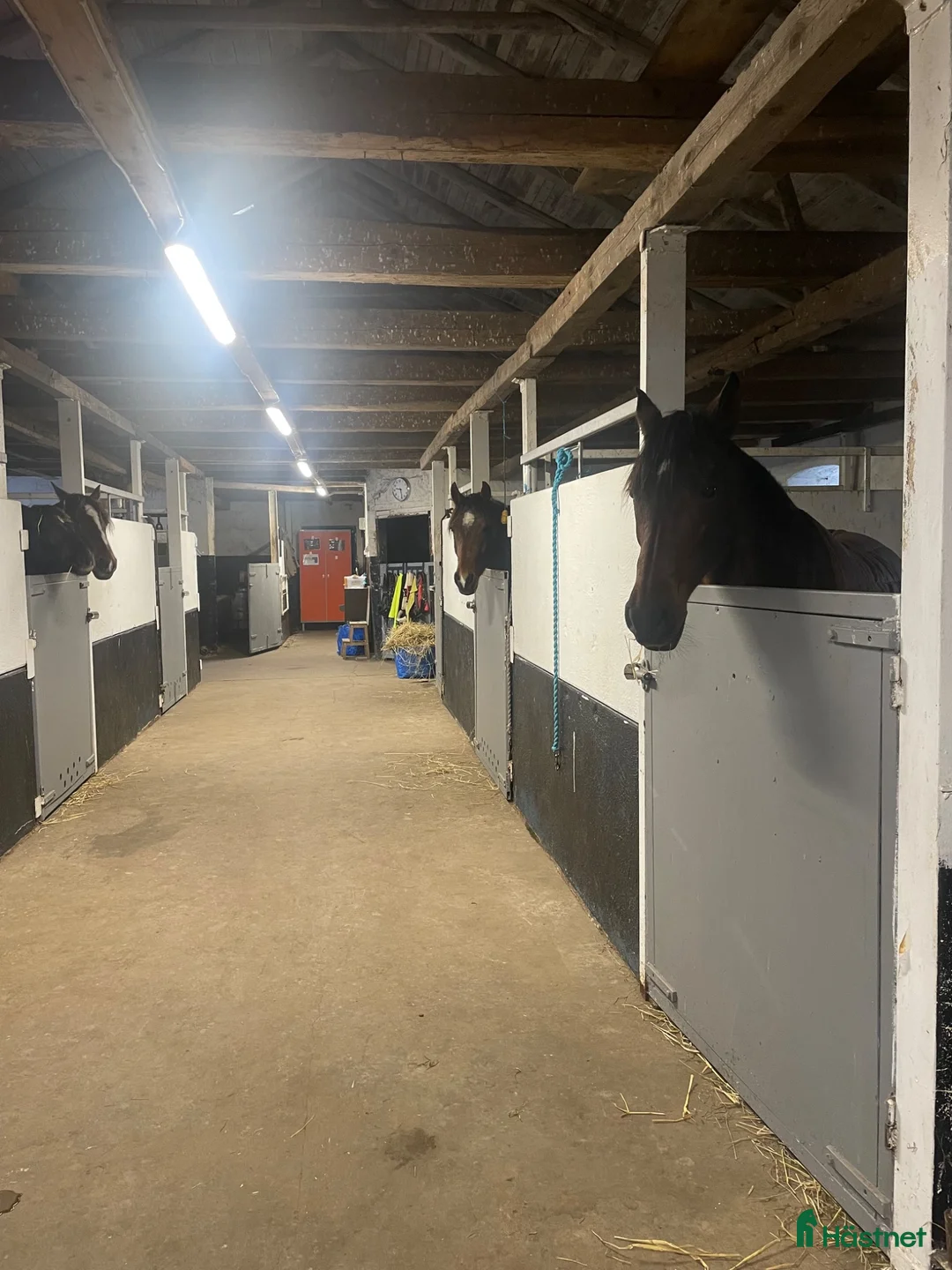  stallplats finnes: Boxplatser norr om Gärdslöv - Annons 7