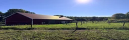  stallplats finnes: Islandshäststall - Stallplats eller hela stallet - Annons 1