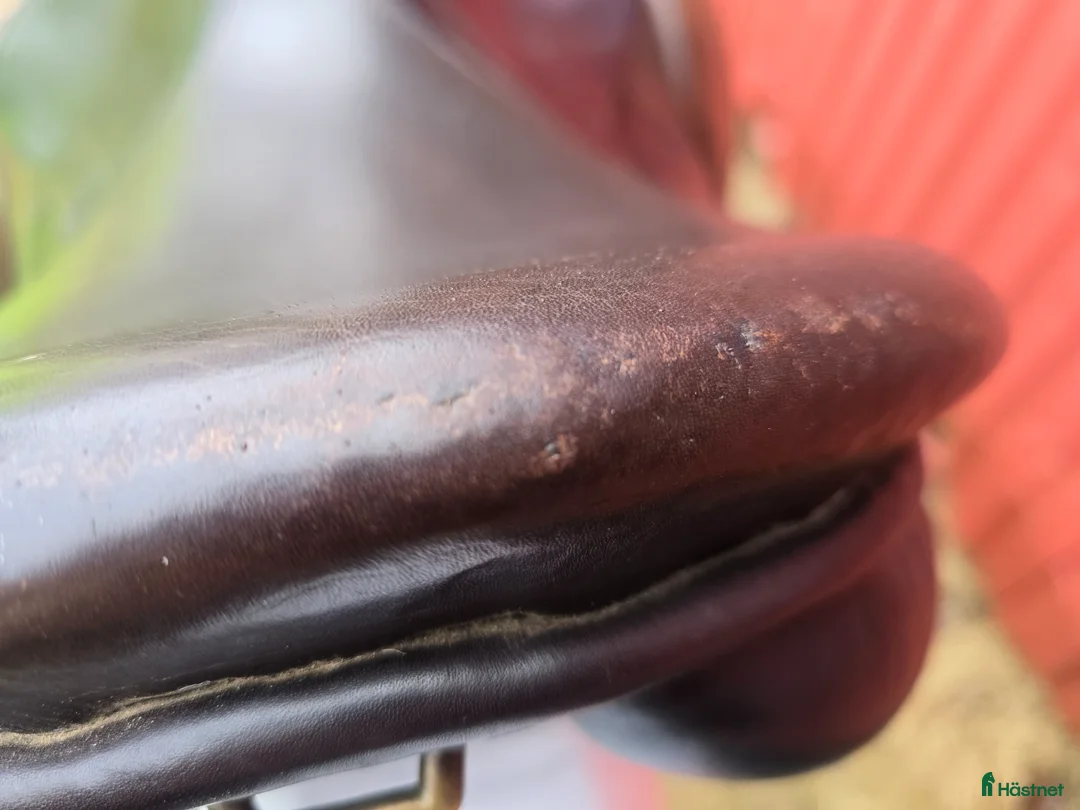 Sadlar hästutrustning till salu: Allroundsadel - Annons 6