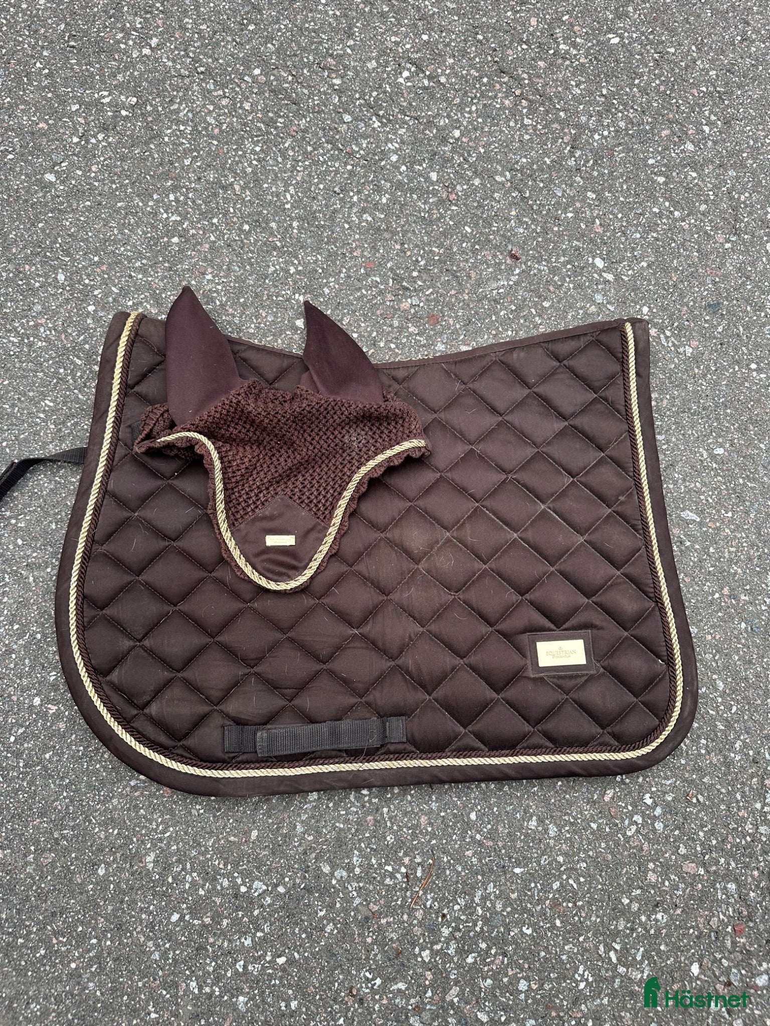 Schabrak & Vojlockar hästutrustning Equestrian Stockholm sätt😍 - Annons 6