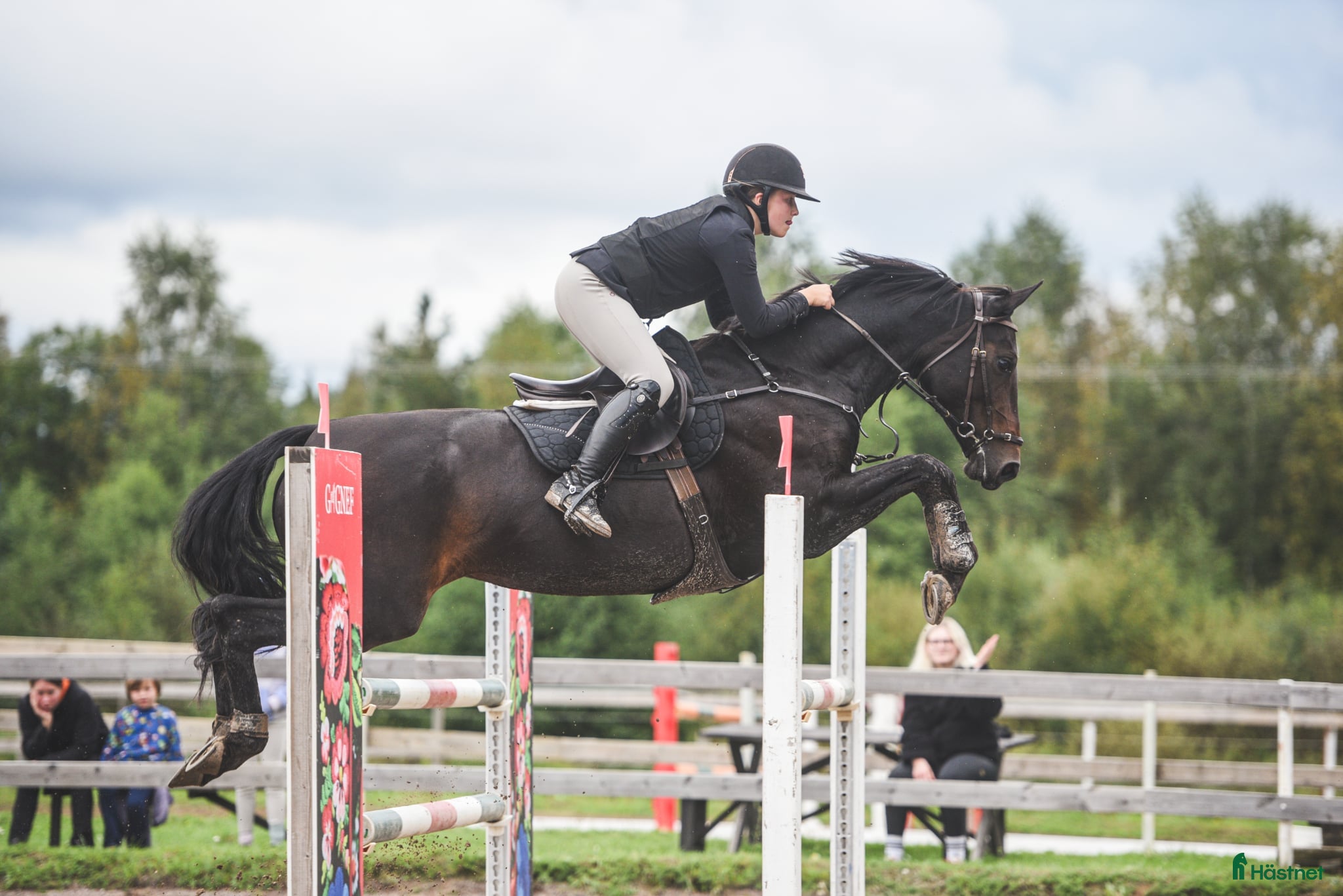  hästar Välriden energisk häst  i Mockfjärd - Annons 22