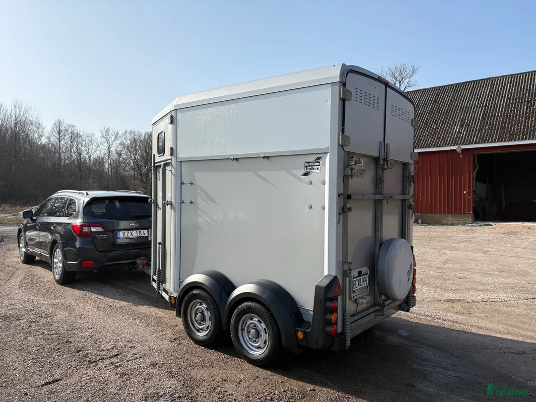 Hästtransporter  fordon & transport till salu: Hästtransport Ifor Williams HB506 i Jämjö - Annons 16