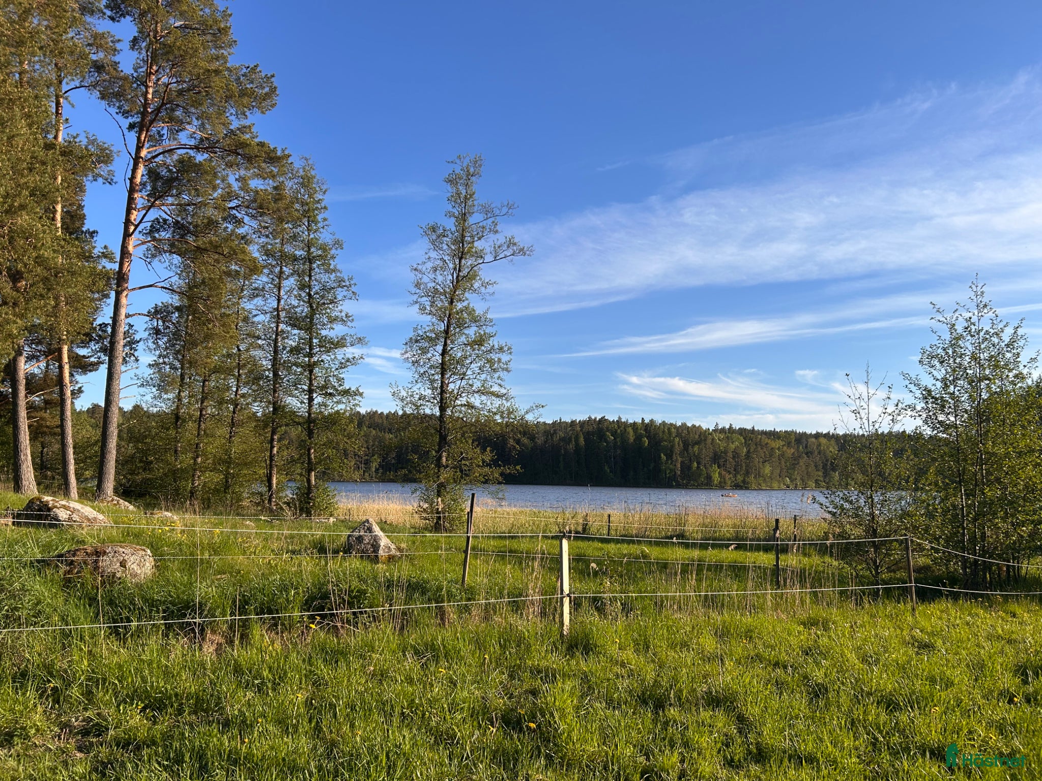  stallplats finnes: Sommarbete/rehab/pensionärsboende för hästar - Annons 2