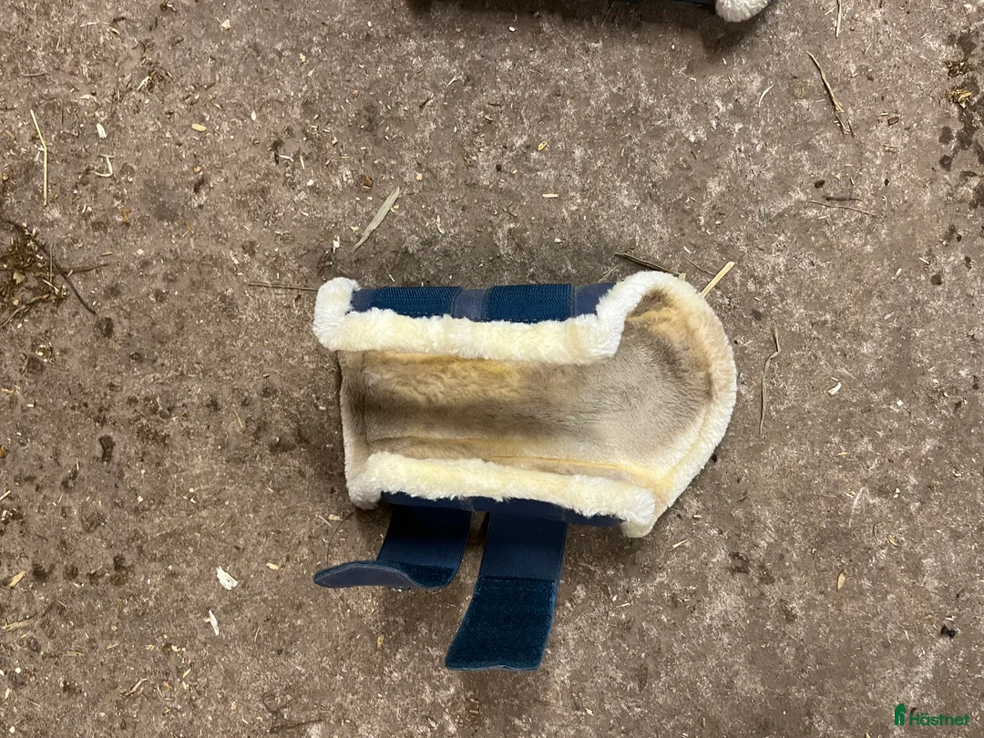 Schabrak & Vojlockar hästutrustning till salu: Ljusblått set från ps  i Landsbro - Annons 6