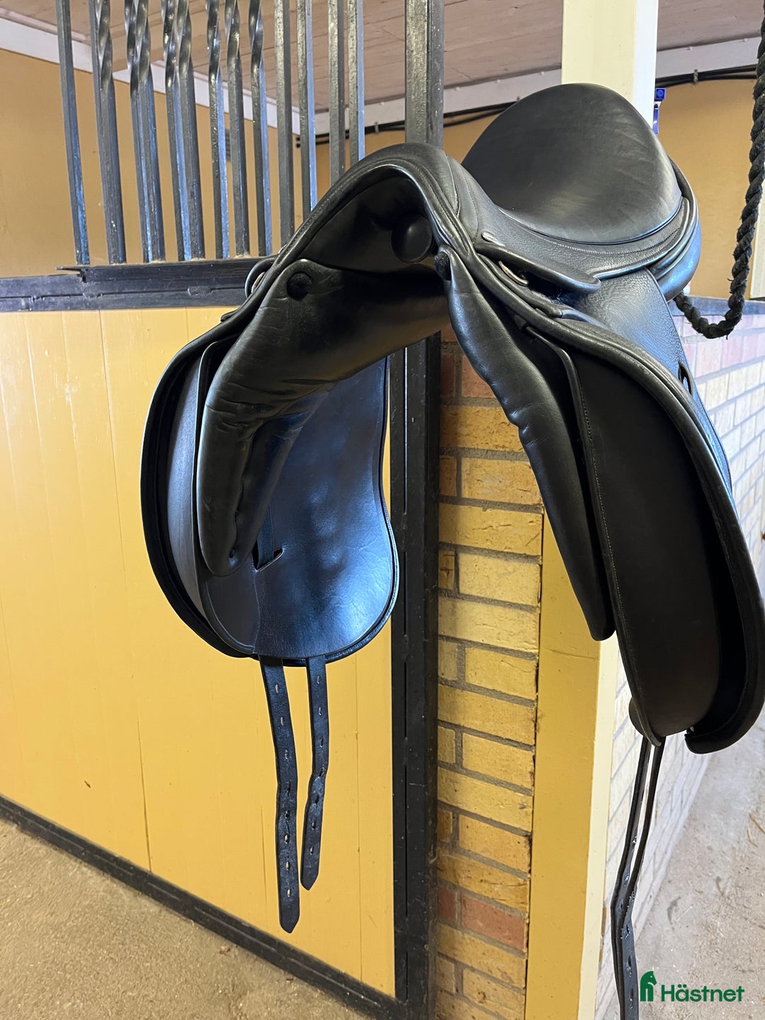 Sadlar hästutrustning till salu: Mkt fin Jaguar i Uppsala - Annons 3