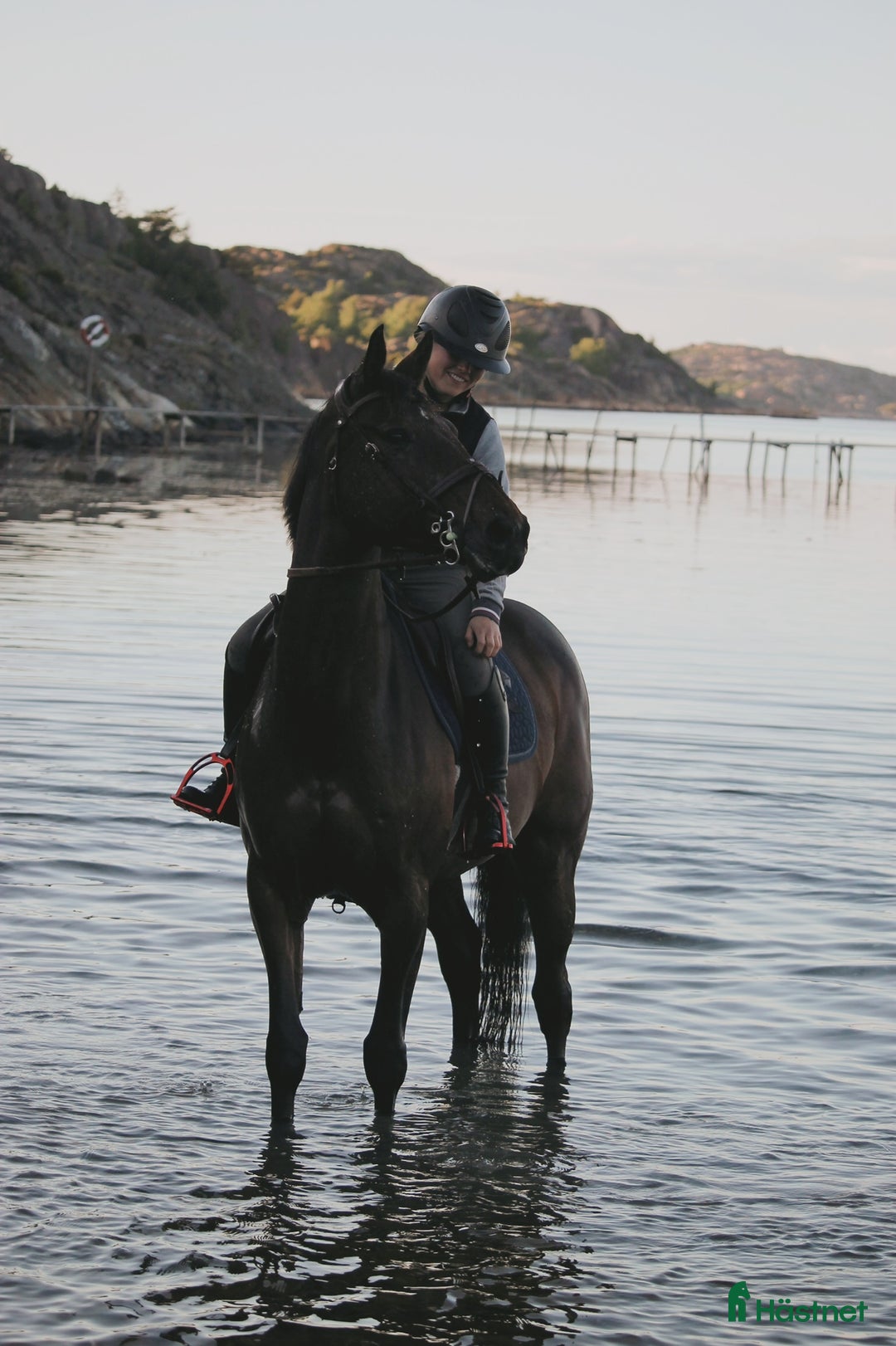  hästservice finnes: Samarbete/ rehab / tillridning / inridning  i Ödsmål - Annons 3