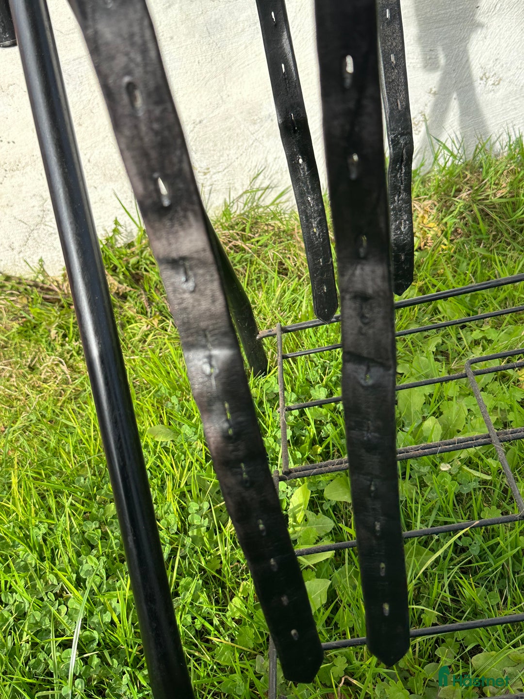 Sadlar hästutrustning till salu: Fin Globus Clic  i Helsingborg - Annons 4