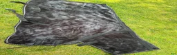 Täcken hästutrustning till salu: Säljer ett mink fleecetäcke i stl 145 i Uppsala - Annons 2
