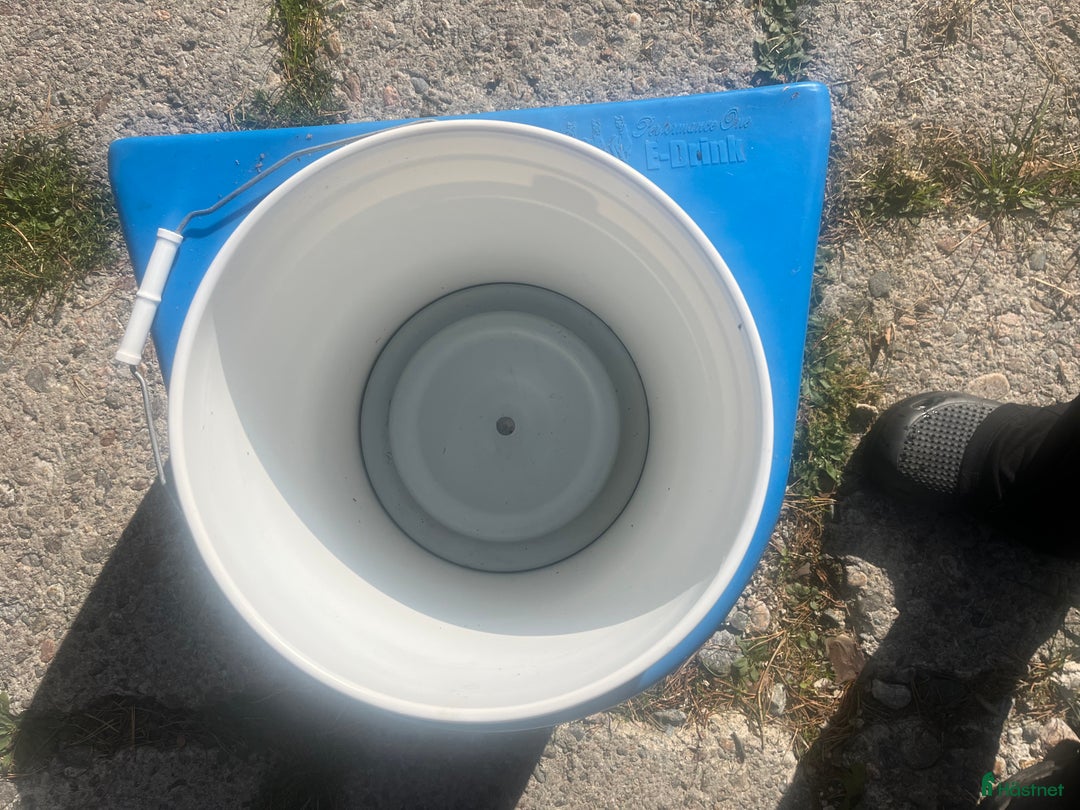 Övrig Hästutrustning hästutrustning till salu: Thermohink i Grödinge - Annons 6