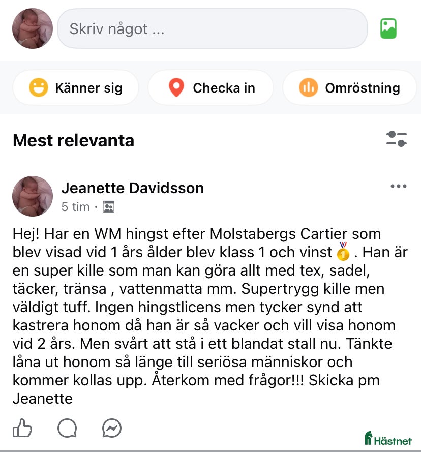  hästar Ponny i Hjortshög - Annons 16