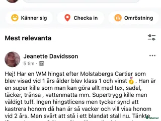 hästar Ponny i Hjortshög - Annons 16