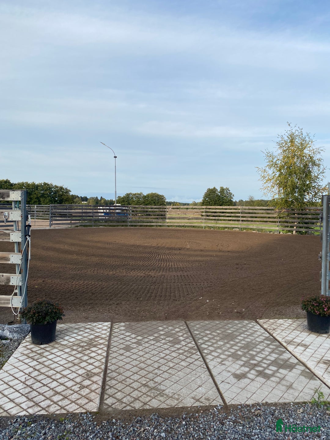  stallplats finnes: Stallplats finnes!  i Färentuna - Bild 7