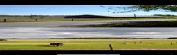  stallplats finnes: Stallplats med ridhus - Annons 4