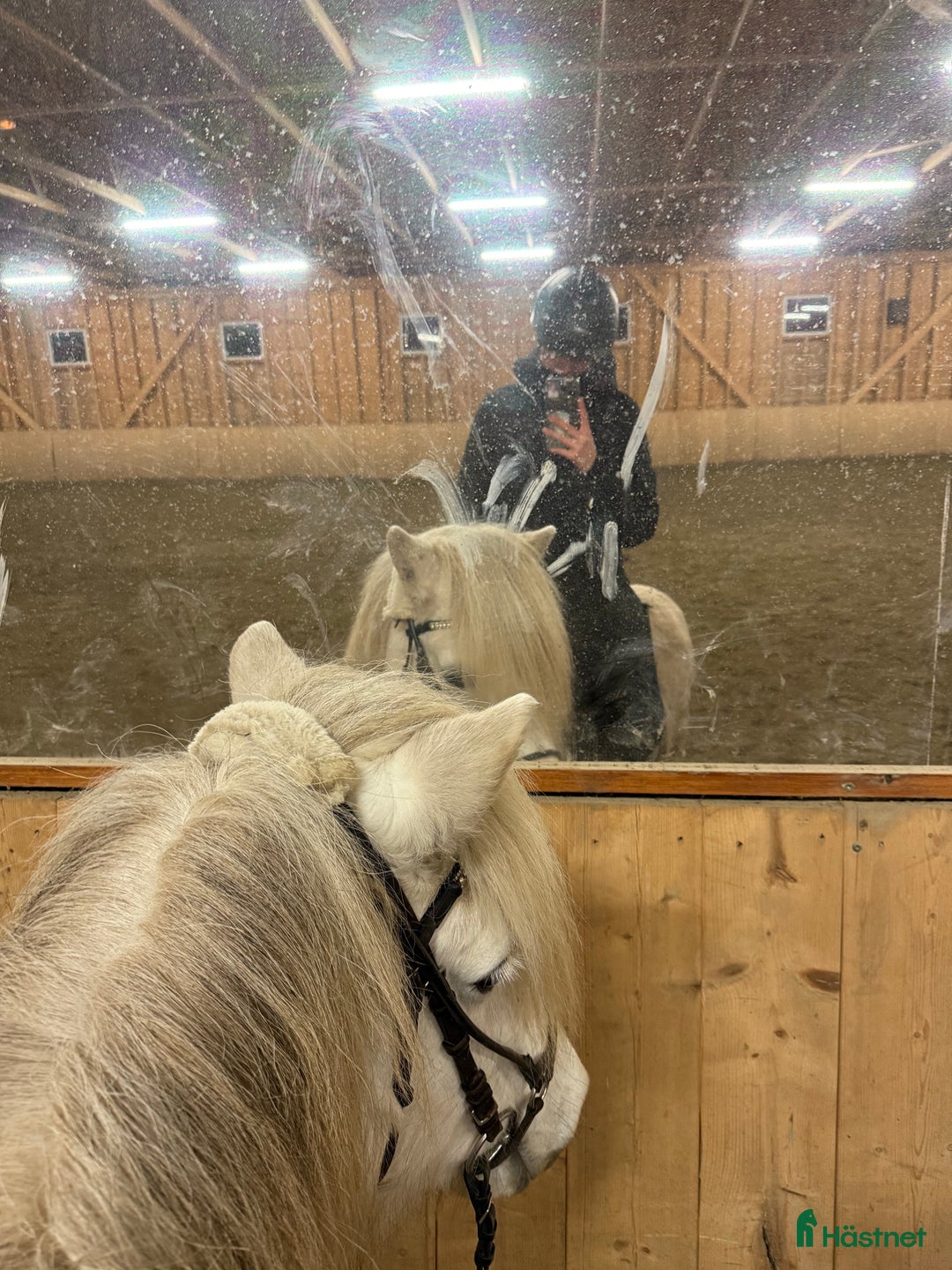 Galleribild {{count}}