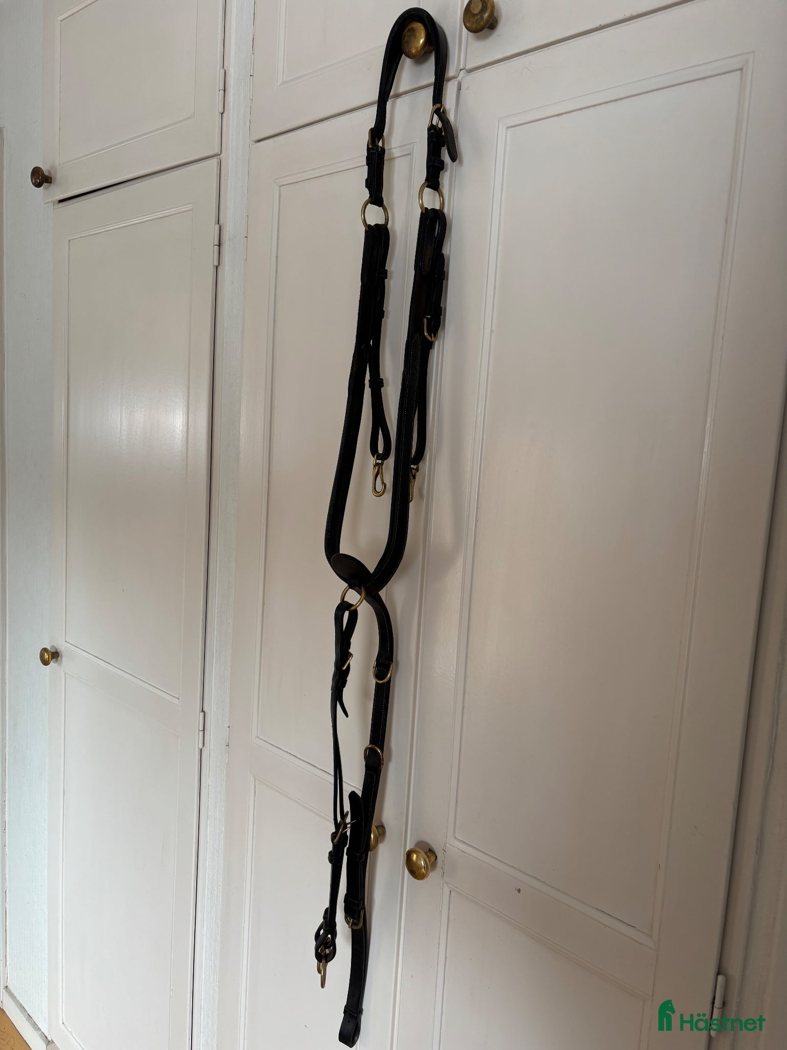 Träns hästutrustning Fin Dyon förbygel - Annons 1