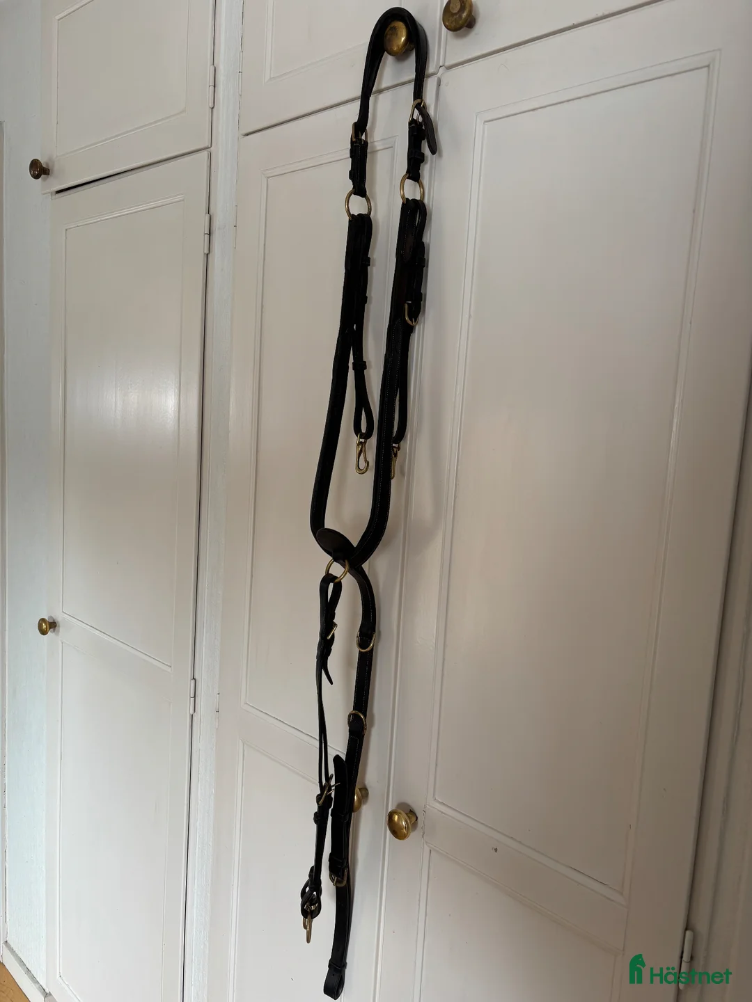 Träns hästutrustning till salu: Fin Dyon förbygel - Annons 1