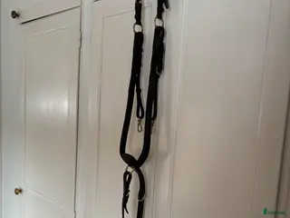 Träns hästutrustning Fin Dyon förbygel - Annons 1