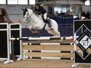 hästar Fantastisk D-ponny som hoppat MSV A - Annons 16