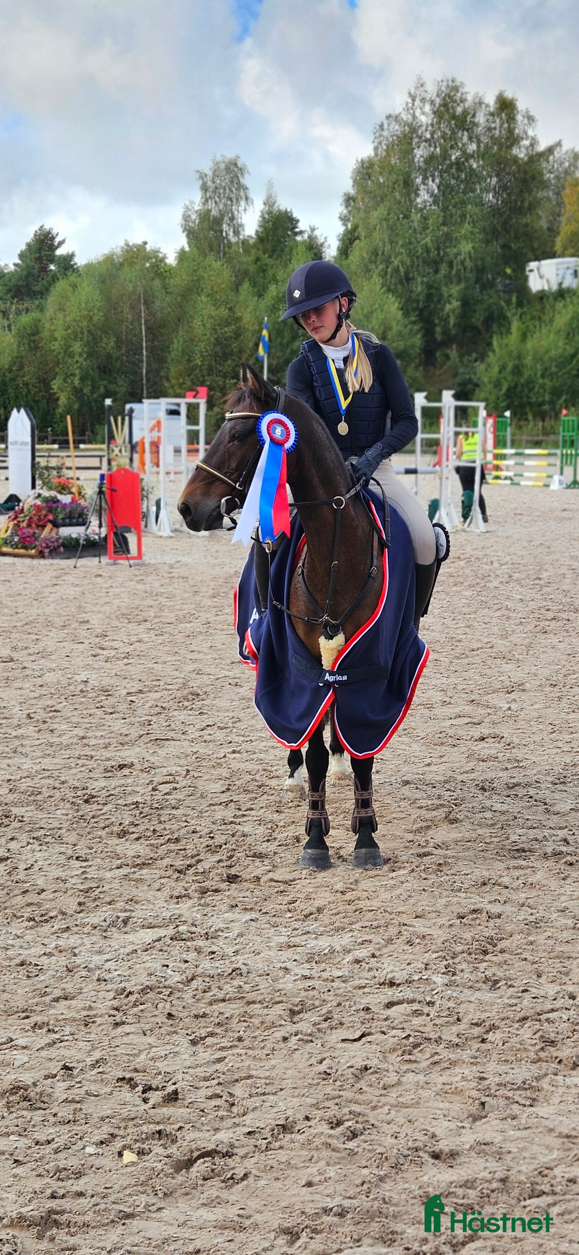  hästar Vår b-ponny era håller på att ta slut.... i Varberg - Annons 5