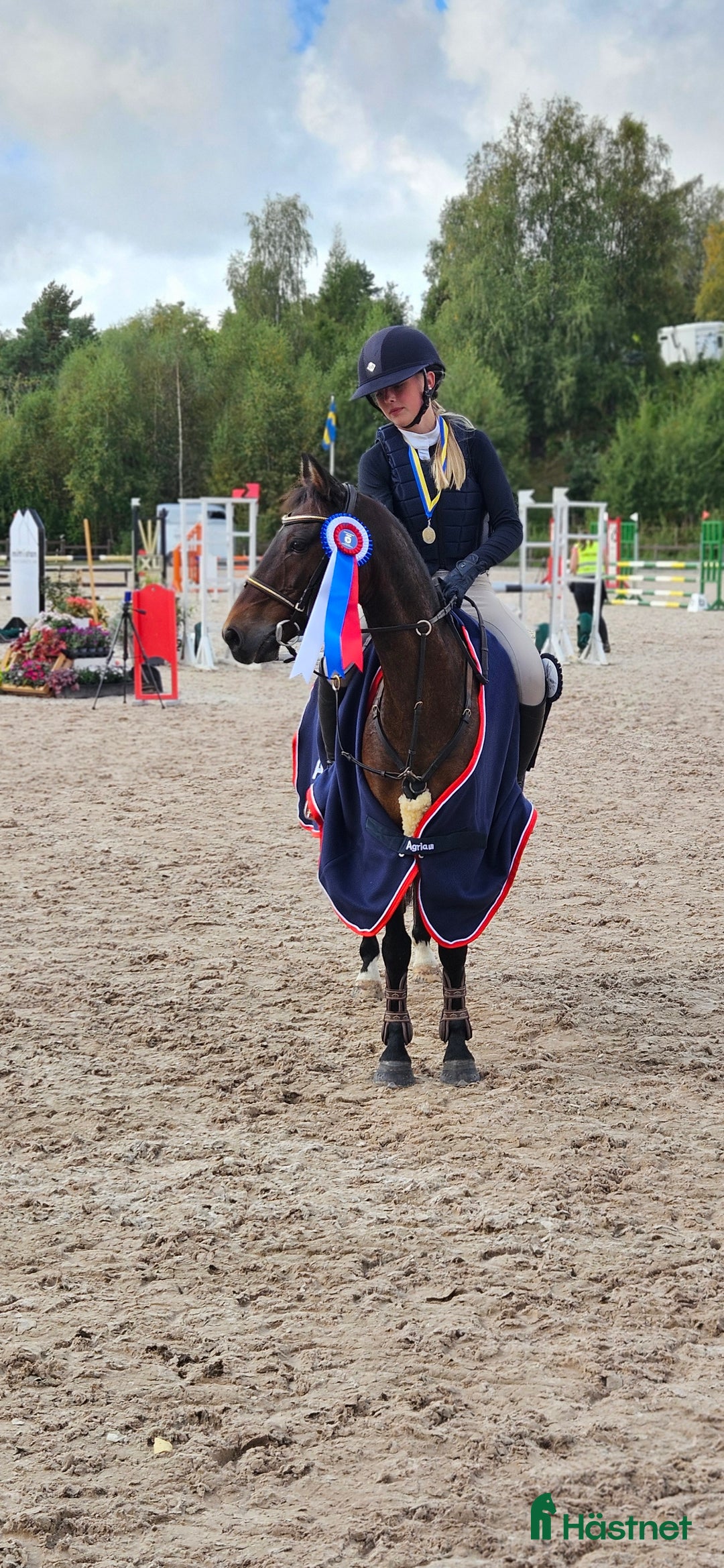 Hoppning hästar till salu: Vår b-ponny era håller på att ta slut.... i Varberg - Annons 1