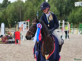 hästar Vår b-ponny era håller på att ta slut.... - Annons 8