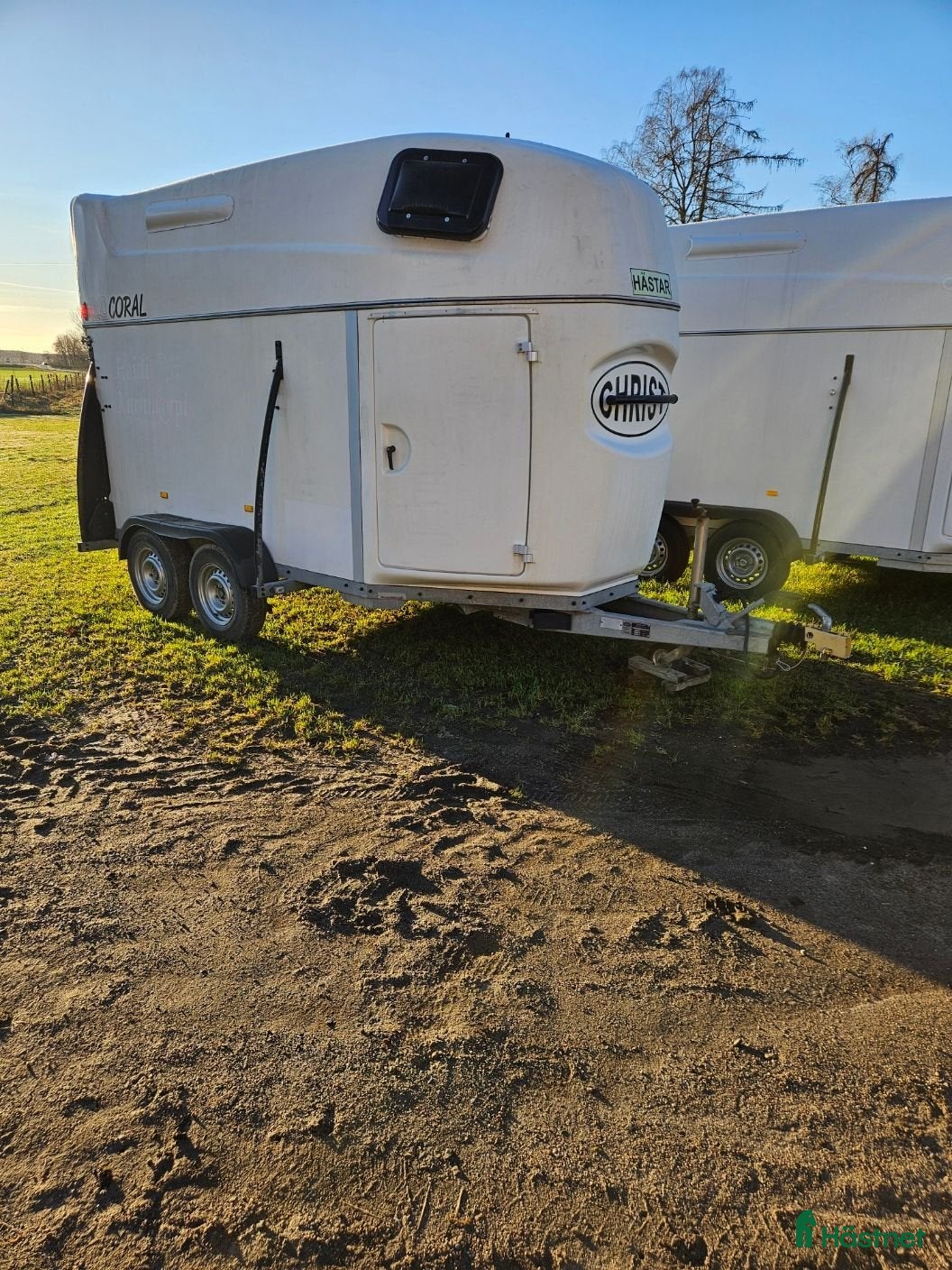 Hästtransporter  fordon & transport till salu: CHRIST MEGA CORAL - Annons 10