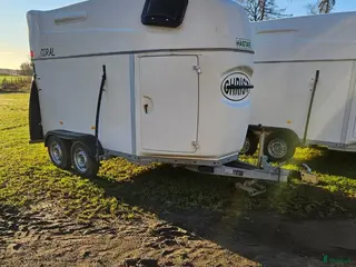 Hästtransporter fordon & transport till salu: CHRIST MEGA CORAL - Annons 10