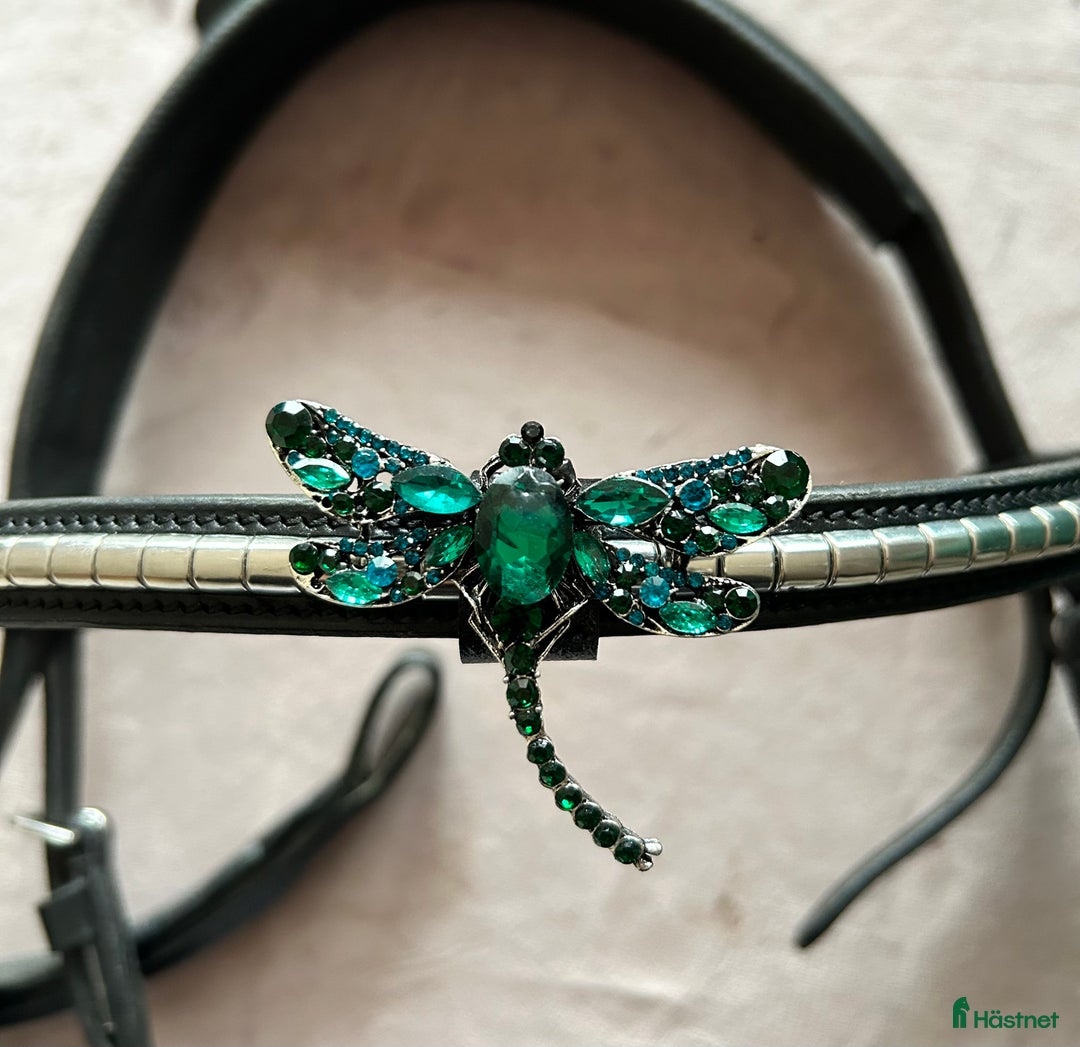 Övrig Hästutrustning hästutrustning till salu: Pannbandsmycke inkl frakt i Hässleholm - Annons 2