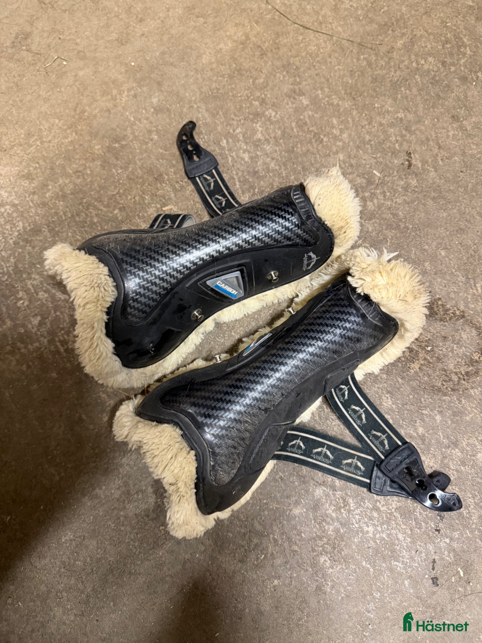 Benskydd hästutrustning Veredus benskydd - Annons 4