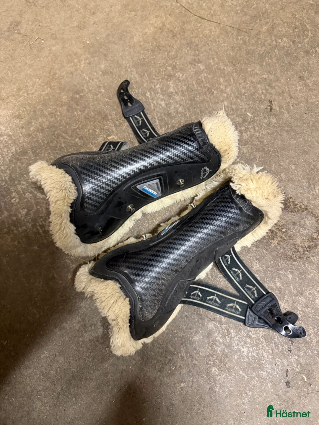 Benskydd hästutrustning till salu: Veredus benskydd - Annons 1