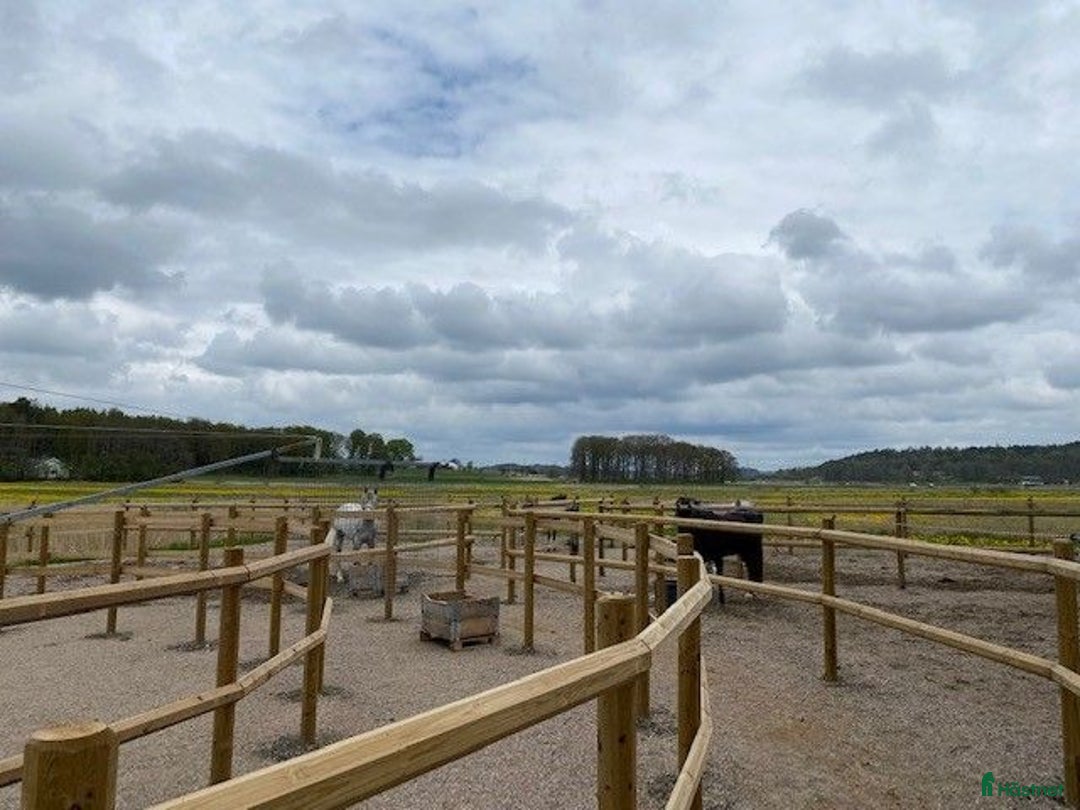  stallplats finnes: Stallplats Åsa / Kungsbacka   i Åsa - Annons 3