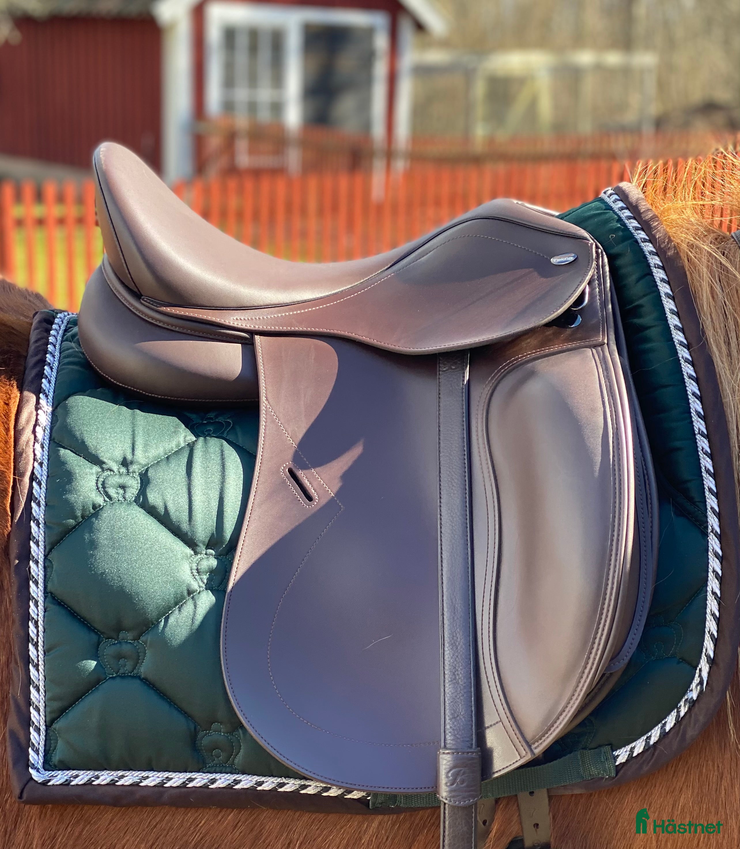 Sadlar hästutrustning till salu: Tekna dressyr 16,5” med gjord & koppjärn  i Motala - Annons 2