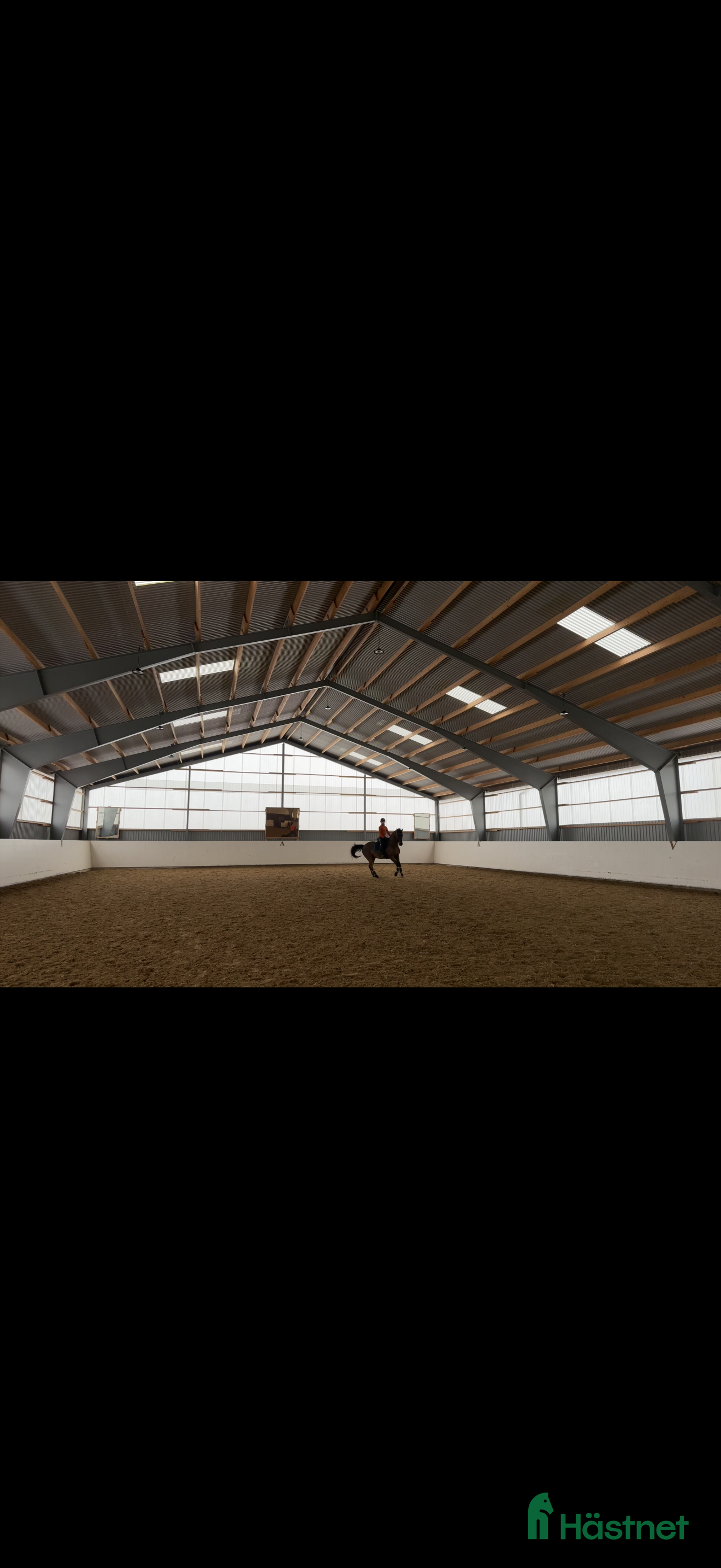  hästjobb Samarbete till försäljning eller utbildning sökes - Annons 2