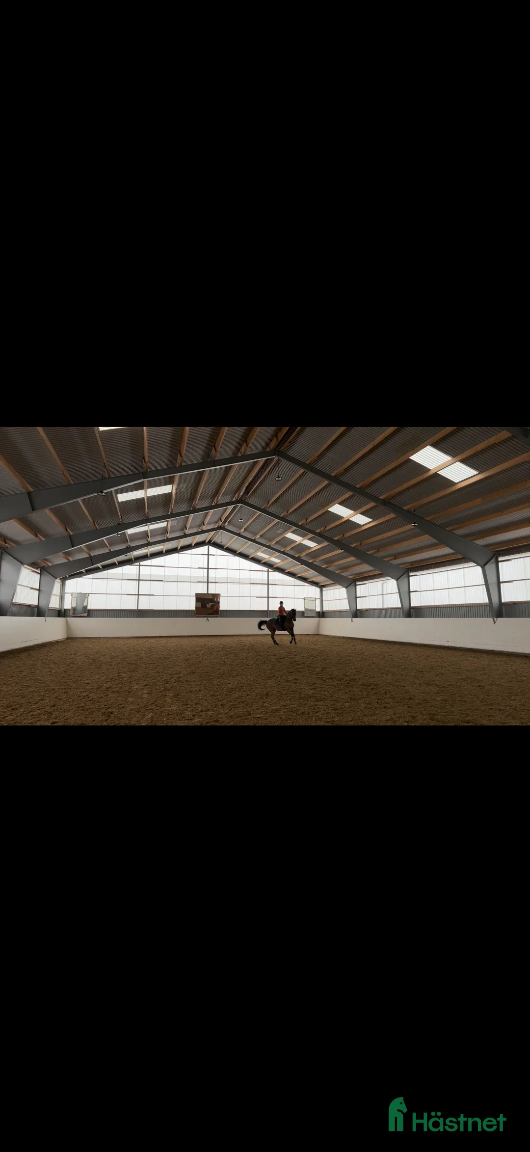  hästjobb finnes: Samarbete till försäljning eller utbildning sökes i Eslöv - Annons 1