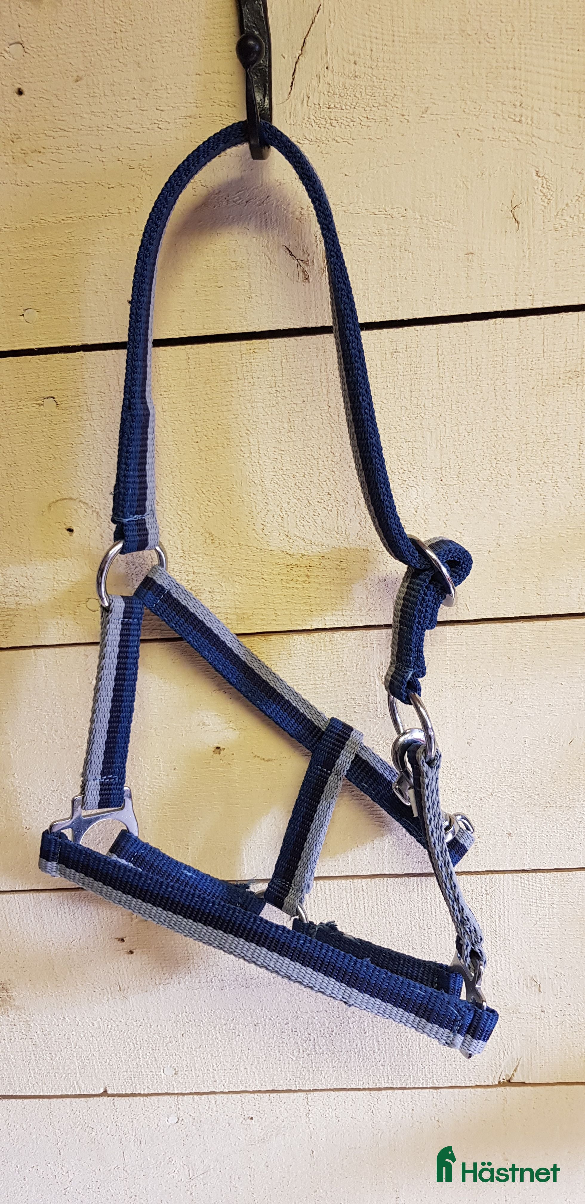 Övrig Hästutrustning hästutrustning till salu: Blå grimma i Nora - Annons 3